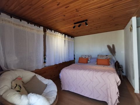 photo no. 12