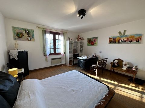 photo no. 15