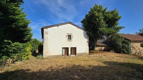 photo no. 1