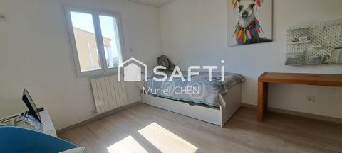 photo no. 11