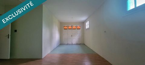 photo no. 8