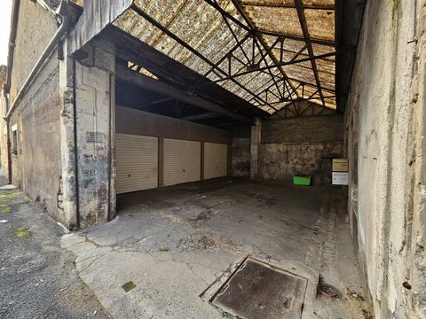 photo no. 5