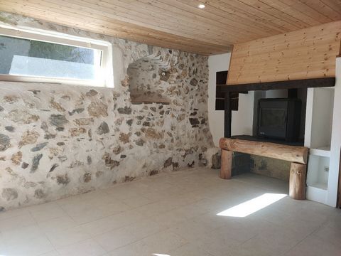 photo no. 4