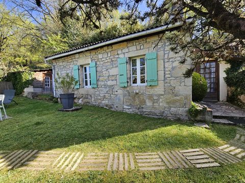 photo no. 13