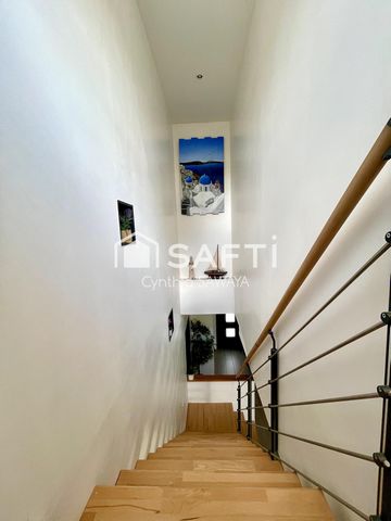 photo no. 11