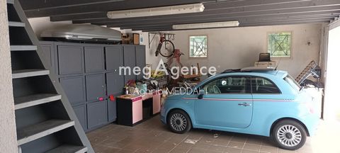photo no. 13