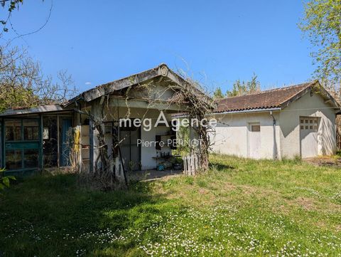 photo no. 14
