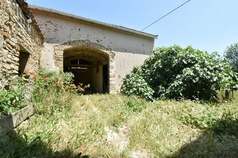 photo no. 15
