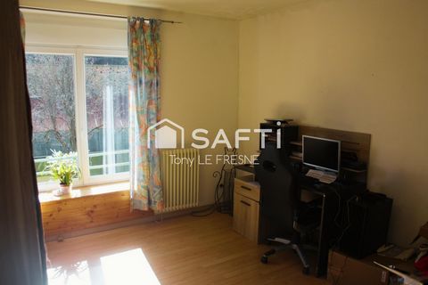 photo no. 8
