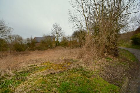 photo no. 1