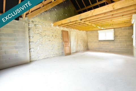 photo no. 10