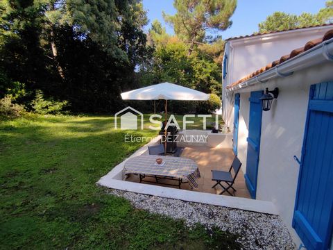 photo no. 14