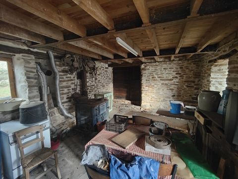 photo no. 17