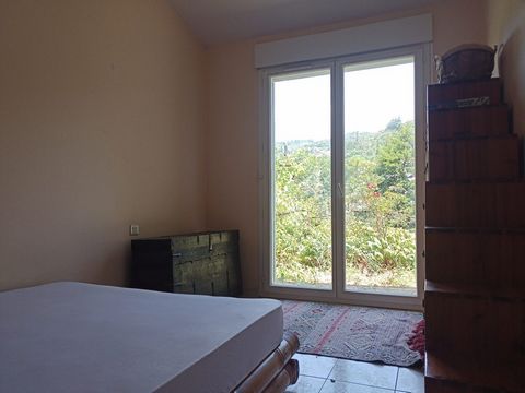 photo no. 8