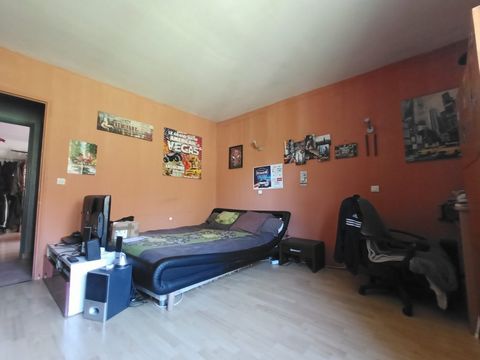 photo no. 7