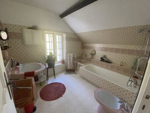 photo no. 13