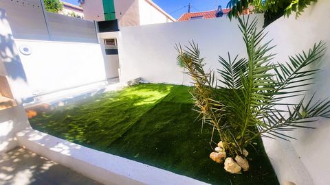 photo no. 4