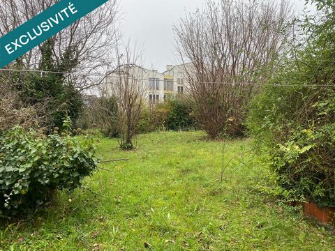photo no. 12