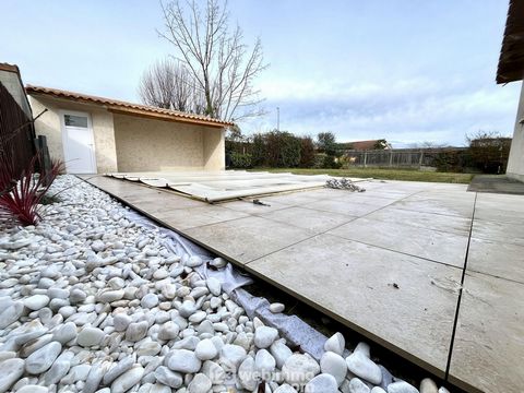 photo no. 7