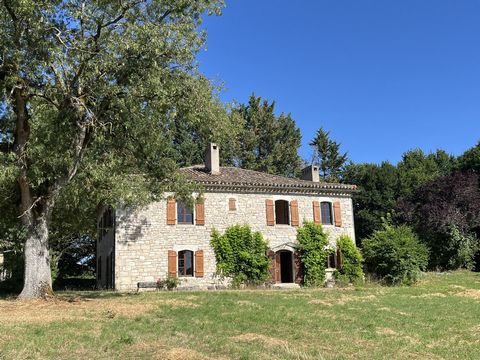 photo no. 19