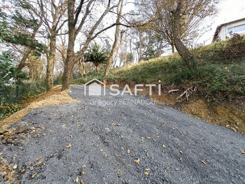 photo no. 2