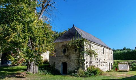 photo no. 14