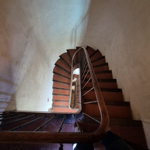 photo no. 16