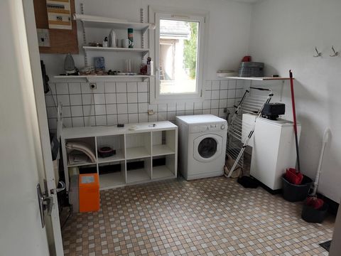 photo no. 11