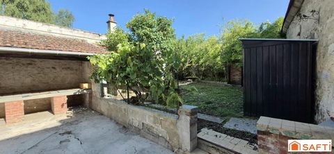 photo no. 15