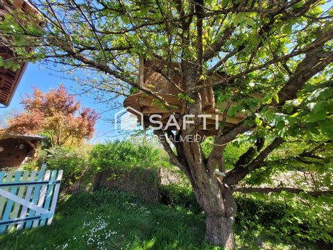 photo no. 13