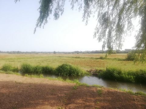 photo no. 16