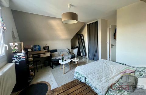 photo no. 6