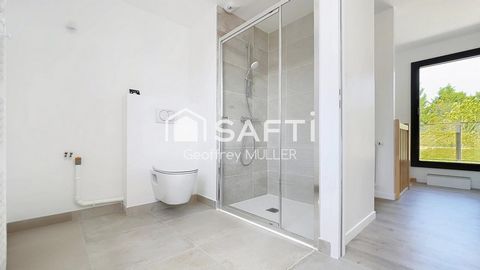 photo no. 12