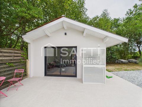 photo no. 13