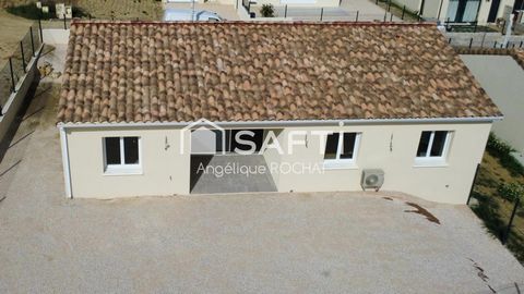 photo no. 11