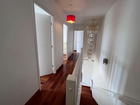 photo no. 19