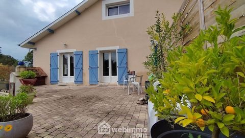 photo no. 12