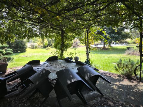 photo no. 17