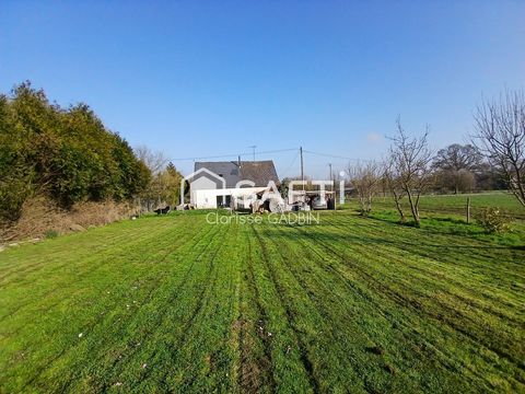 photo no. 10