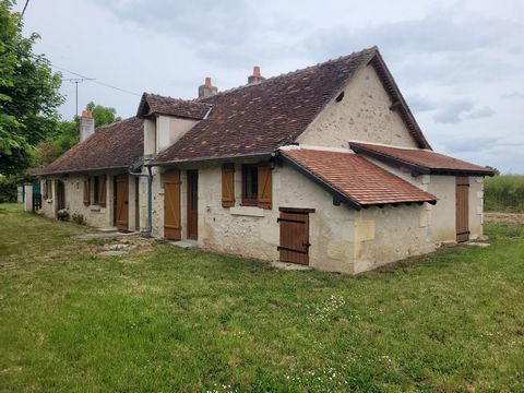 photo no. 15