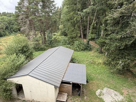 photo no. 21