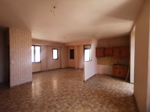 photo no. 8