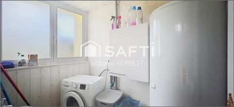 photo no. 6