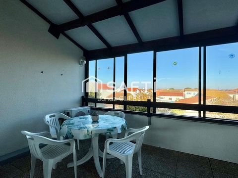photo no. 11