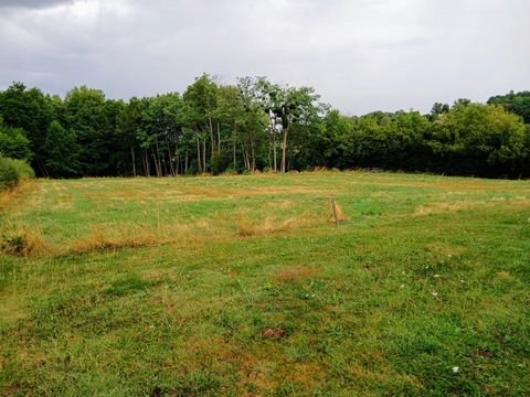 photo no. 11