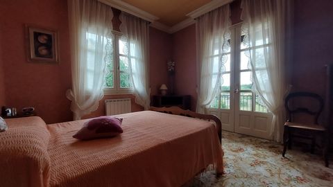 photo no. 7