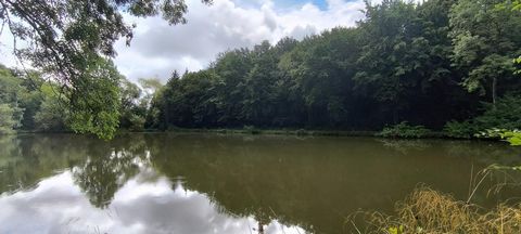 Étang poissonneux sur terrain clos