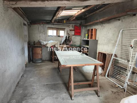 photo no. 6