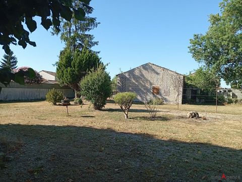 photo no. 12