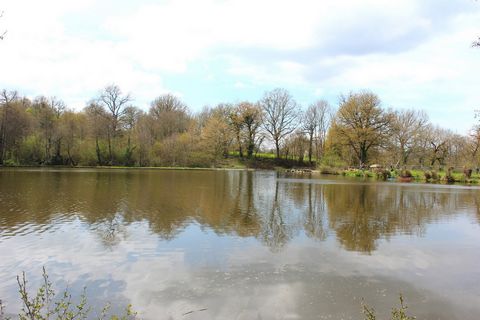 photo no. 9